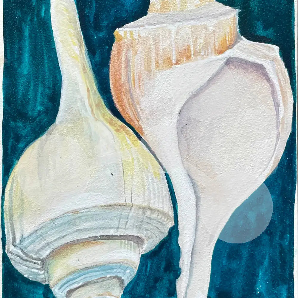 Conch Study